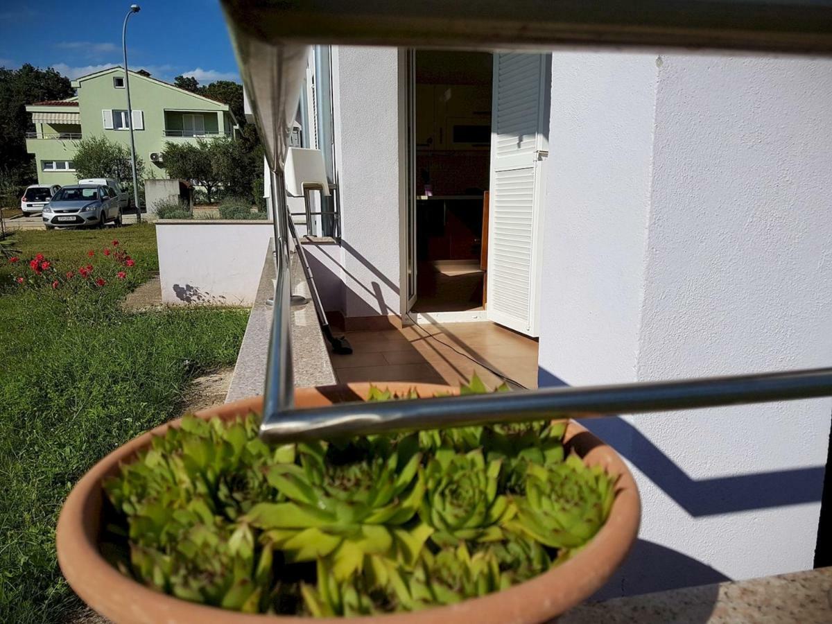 Apartment Vitalia 2+2 Poreč Exterior foto
